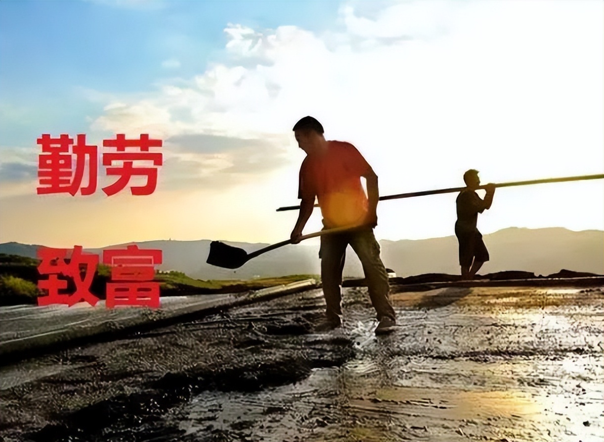 勤劳能致富吗视频,勤劳不能致富聪明才能致富