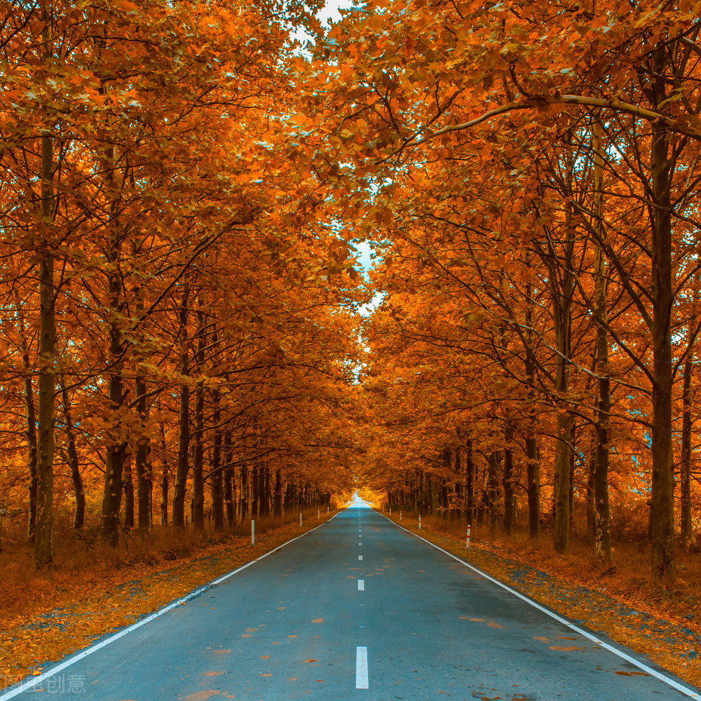 中年婚姻全集视频,中年婚姻全文