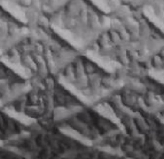 adidas贝壳头童鞋真假鉴别,adidas假货事件