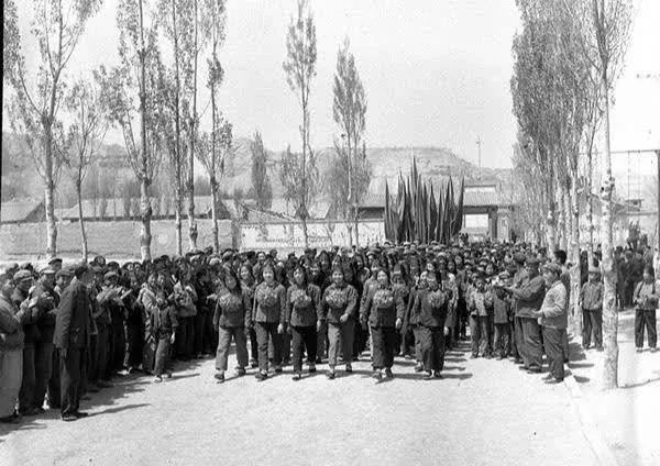 姘歌繙鐨勮嫃涓滃潯鍘熺増,姘歌繙鐨勫紶鍥借崳姝屾洸