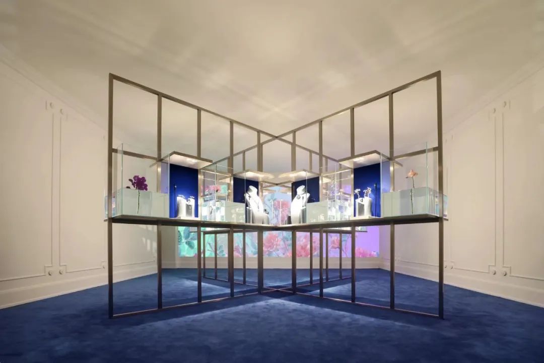 大品牌pk,各大品牌大pk