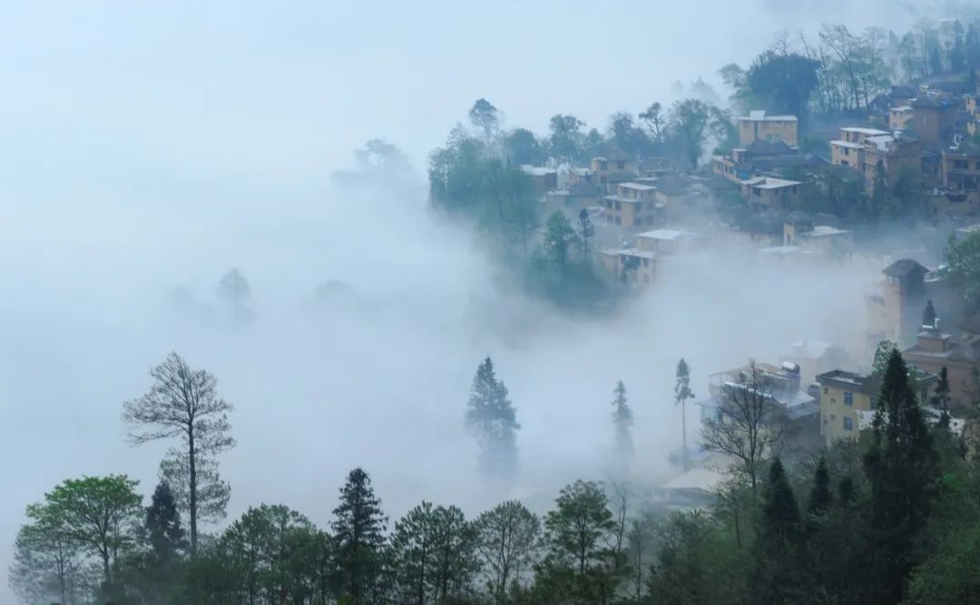 关于寒露的唯美诗句,寒露诗词最美佳句