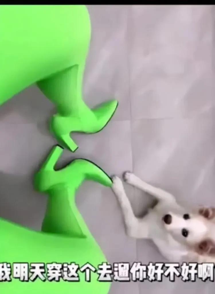 情侣搞笑奇葩礼物送什么,送什么礼物最奇葩