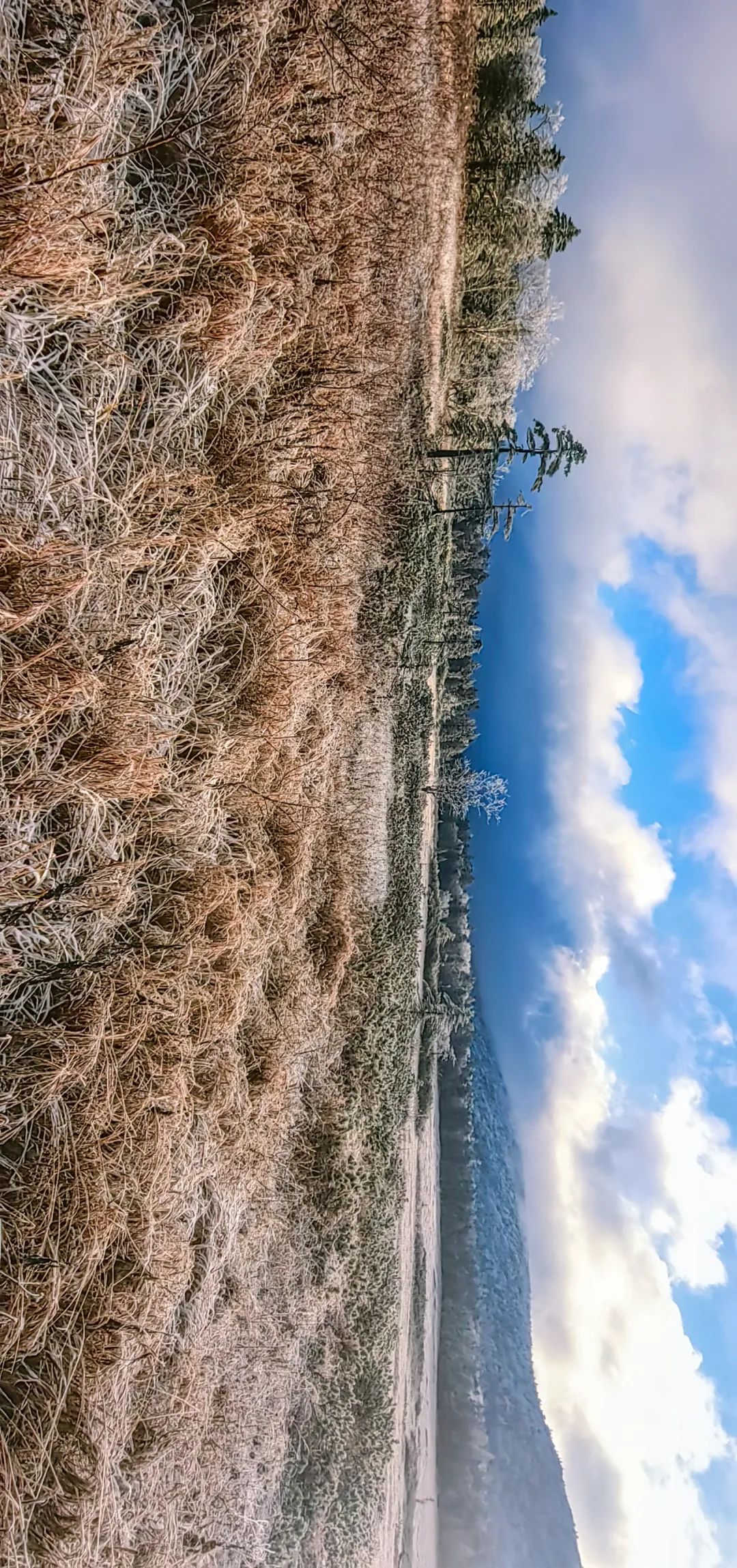梦幻西游凤凰山,江西凤凰山梦幻影视城
