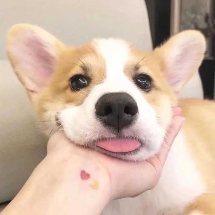 含蓄低调让人不会发现的情侣头像,隐晦又不易察觉的情侣头像