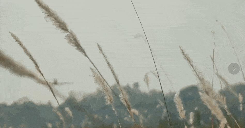 小学生自制最简单的遥控飞机,四川20岁小伙自制旋翼飞机