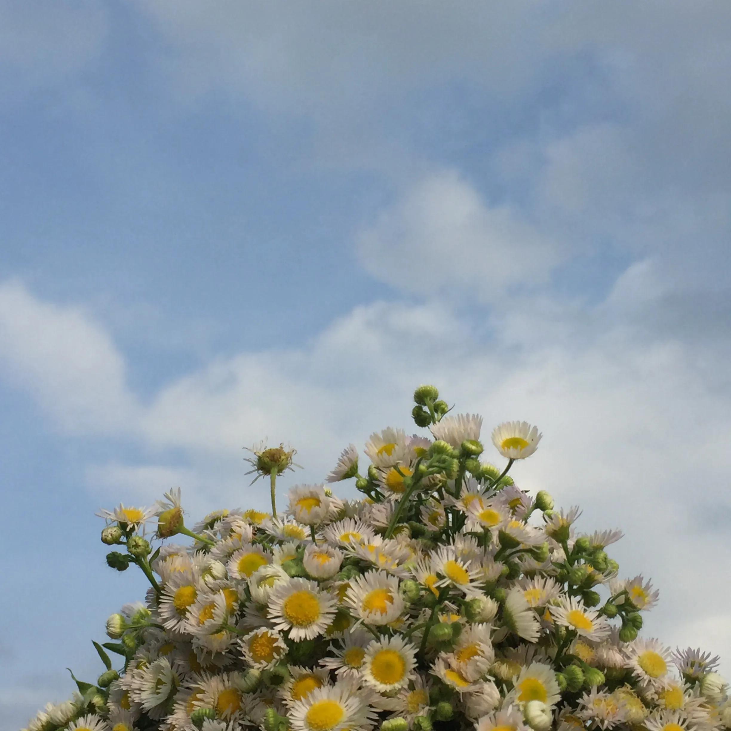 伯恩2018临时工,伯恩临时工20块一个小时