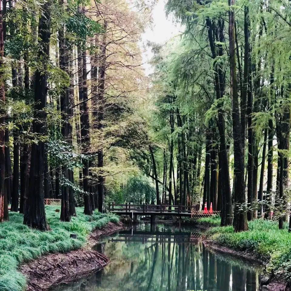 閮簞鍒樺簞,钂嬪簞鍒樺簞