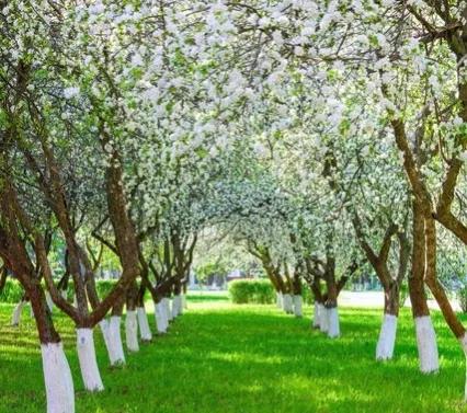 投资自己才是资产最佳配置,投资实质其实就是投资背后的什么