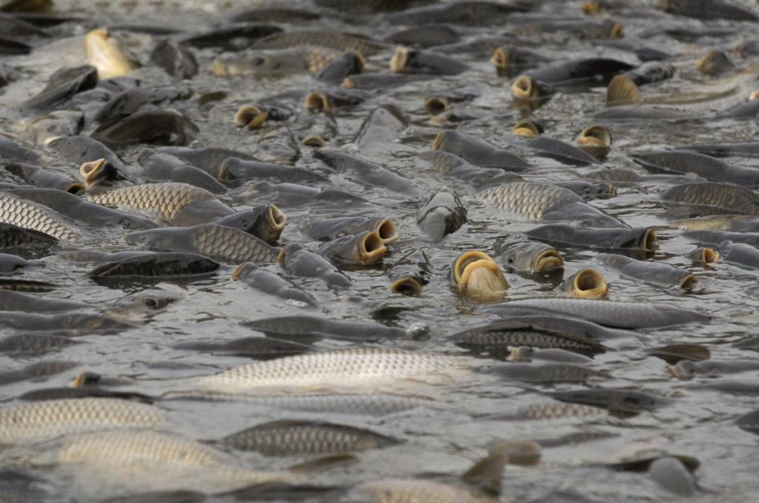 婢虫床椴ら奔娉涙互鎴愮伨瑙嗛,涓夋潯澶ч奔鍫典綇娌抽亾
