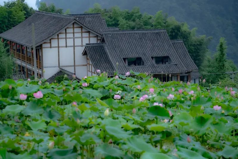 泸州一天的游玩攻略,泸州假期去哪里玩
