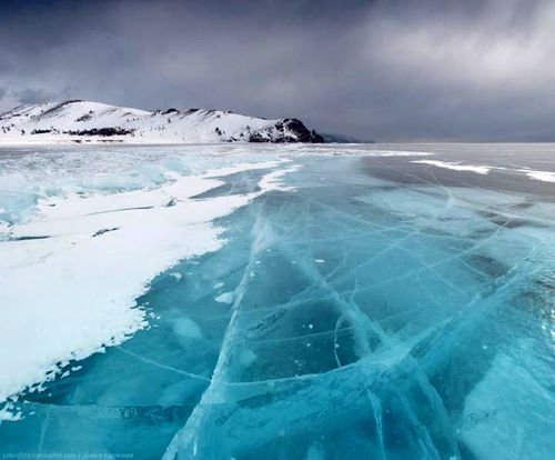 关于打假声明的图片,打假各个品牌假货怎么处罚