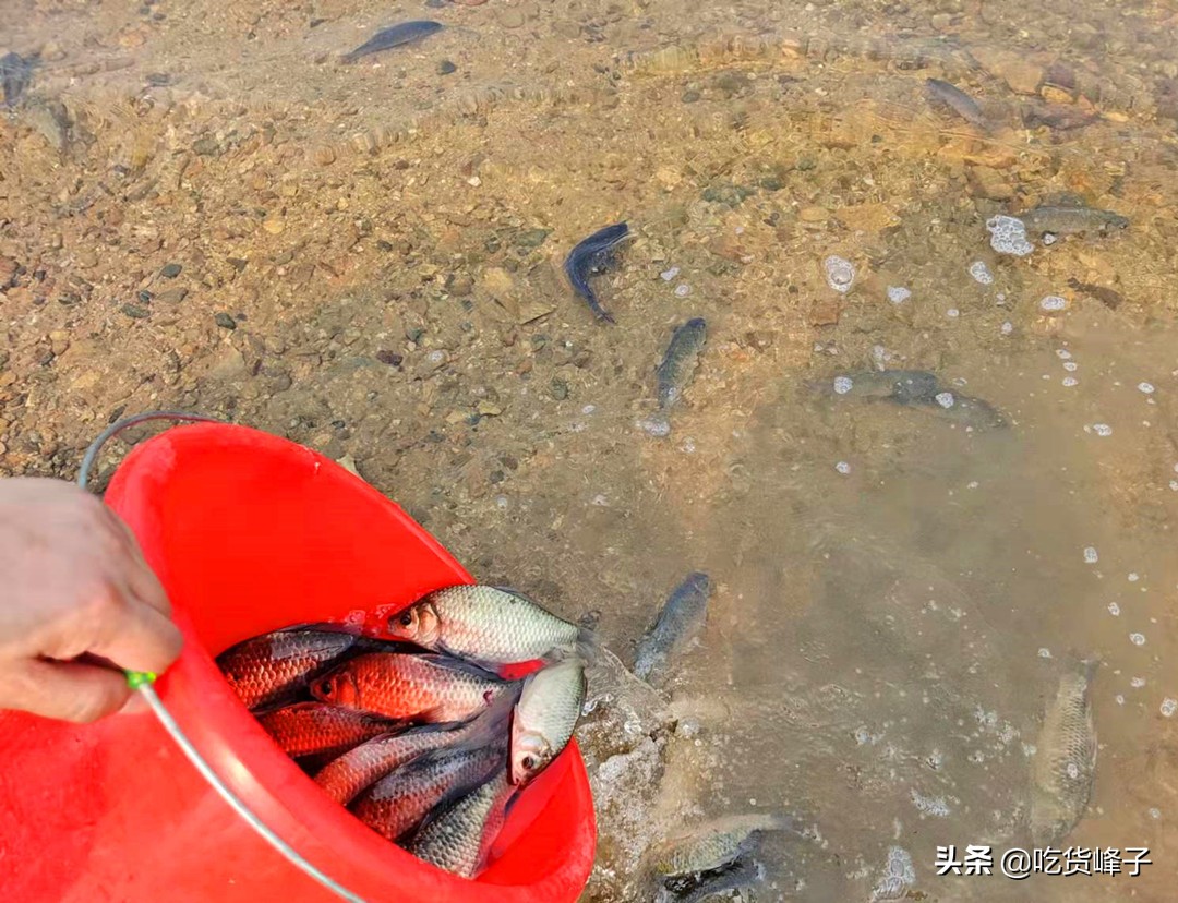 正月里开工有哪些禁忌,大年初八开工吉利吗