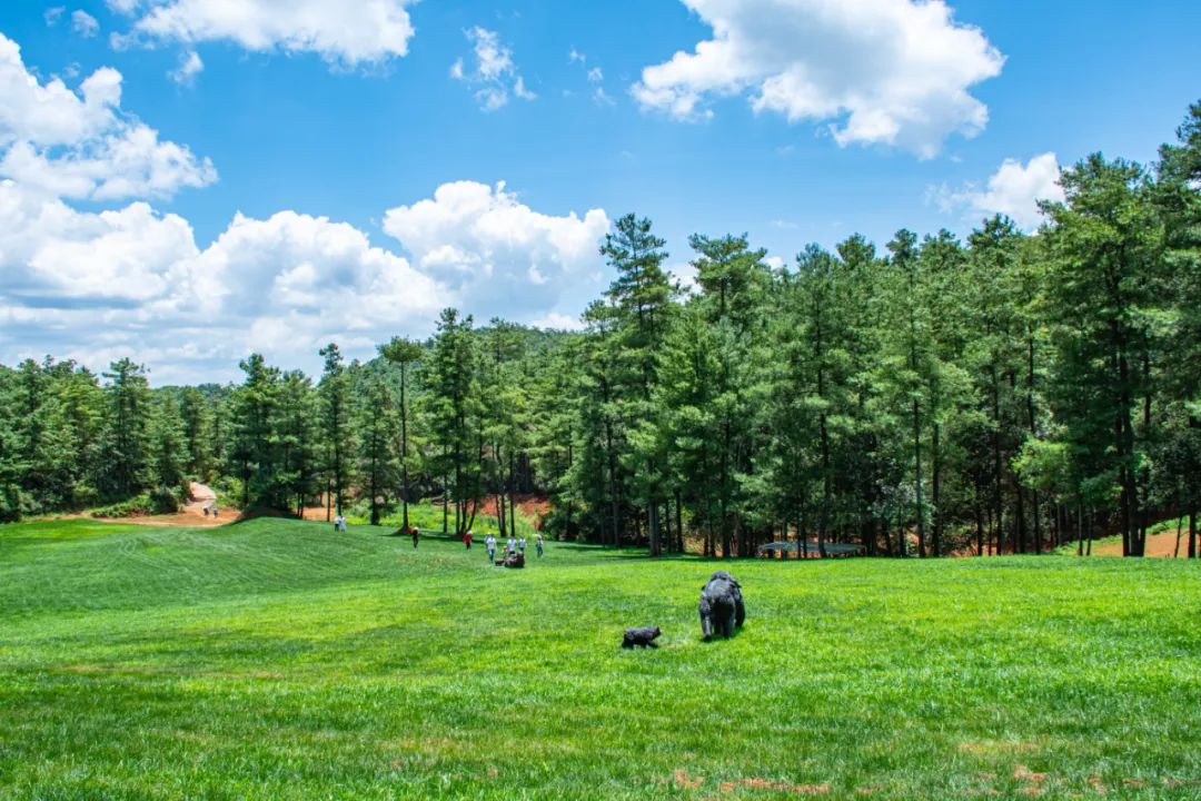 昆明旅游攻略一日游景点推荐理由,昆明旅游景点推荐一日游攻略图