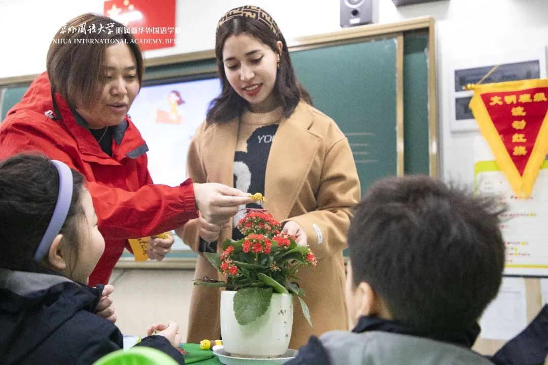 双新改革下的高质量英语教学反思,双减政策下英语教学实录