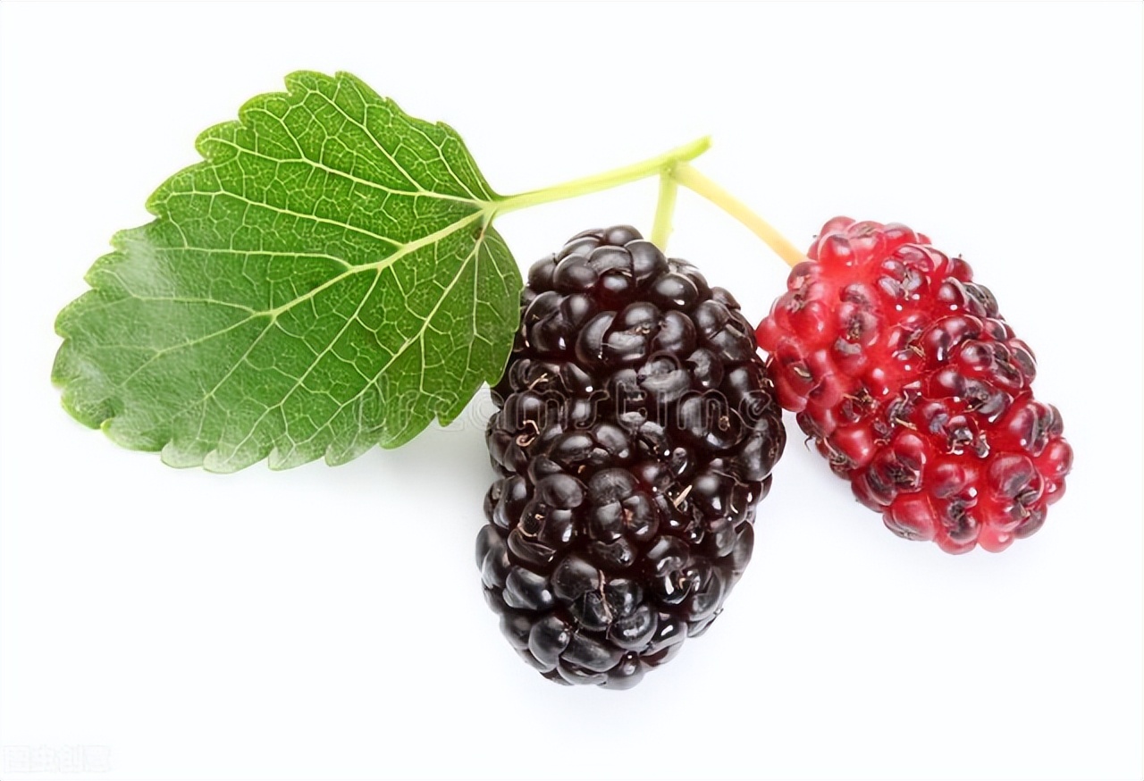 阴虚火旺耳鸣失眠吃什么中成药,阴阳两虚导致耳鸣能治好吗