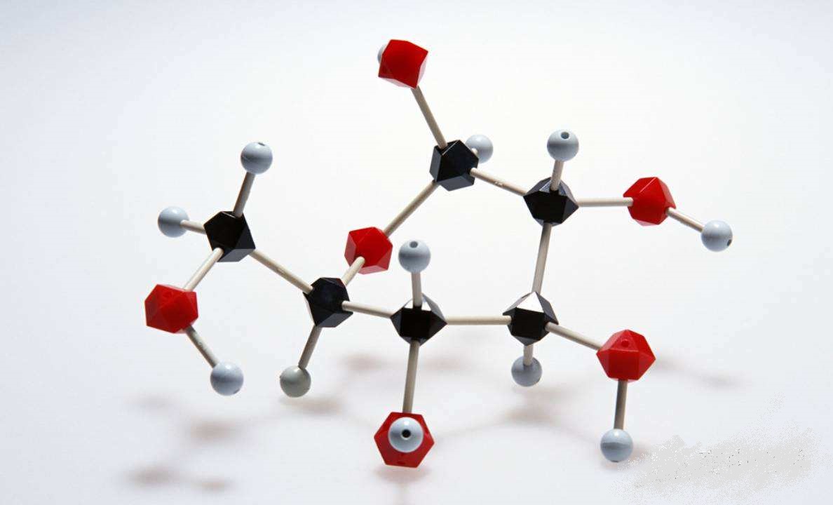 假设世界没有人类会怎么样,假设没有太阳和月亮地球会怎么样