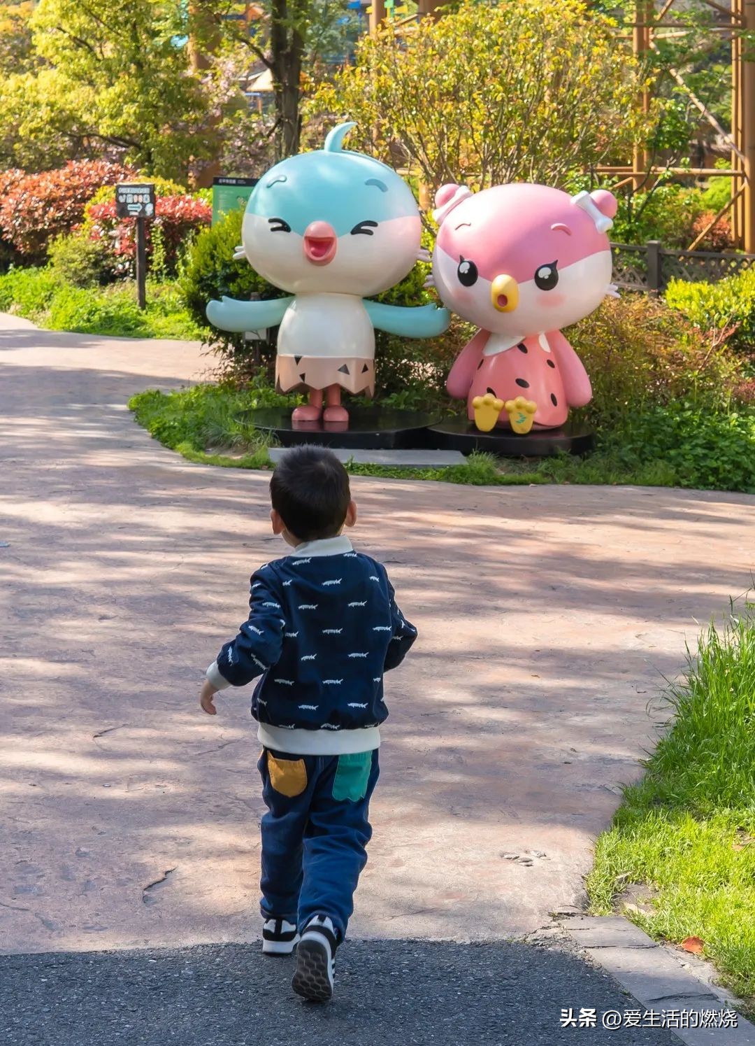 杭州森泊开元度假酒店不含门票,杭州开元森泊度假酒店存在的问题