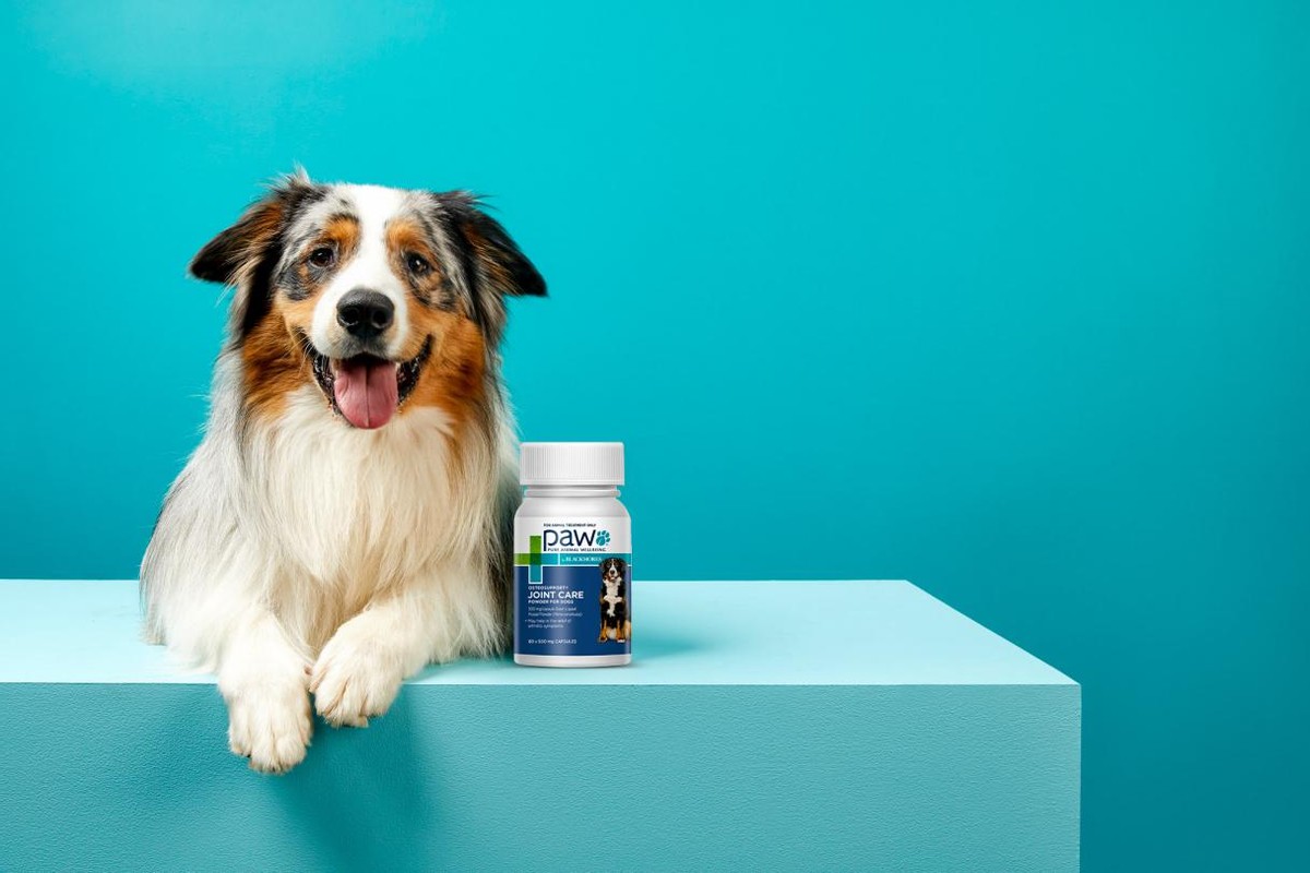 paw澳乐宠软骨素,paw澳乐宠软骨素怎么样