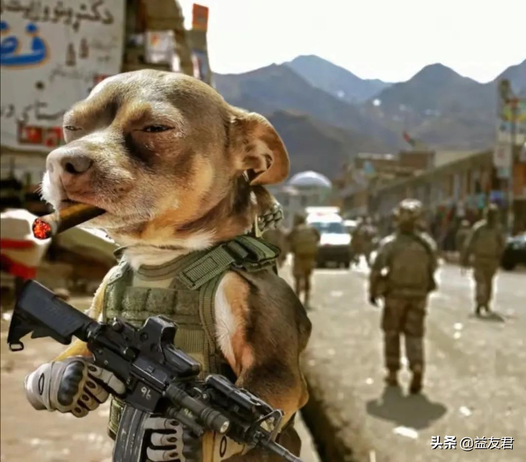 总是感觉很累不想动是什么原因,总是觉得很累没精神啥都不想做