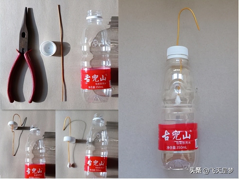 你的柑园布防果蝇未？