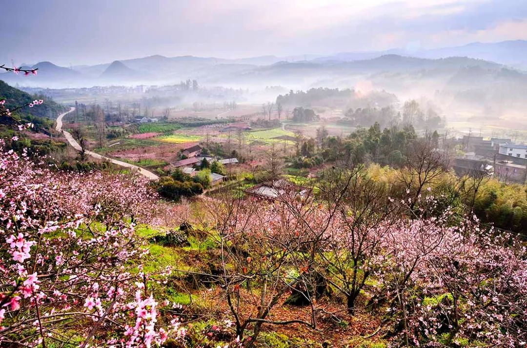 5月底桂林梯田摄影,桂林阳朔山水风光摄影团攻略