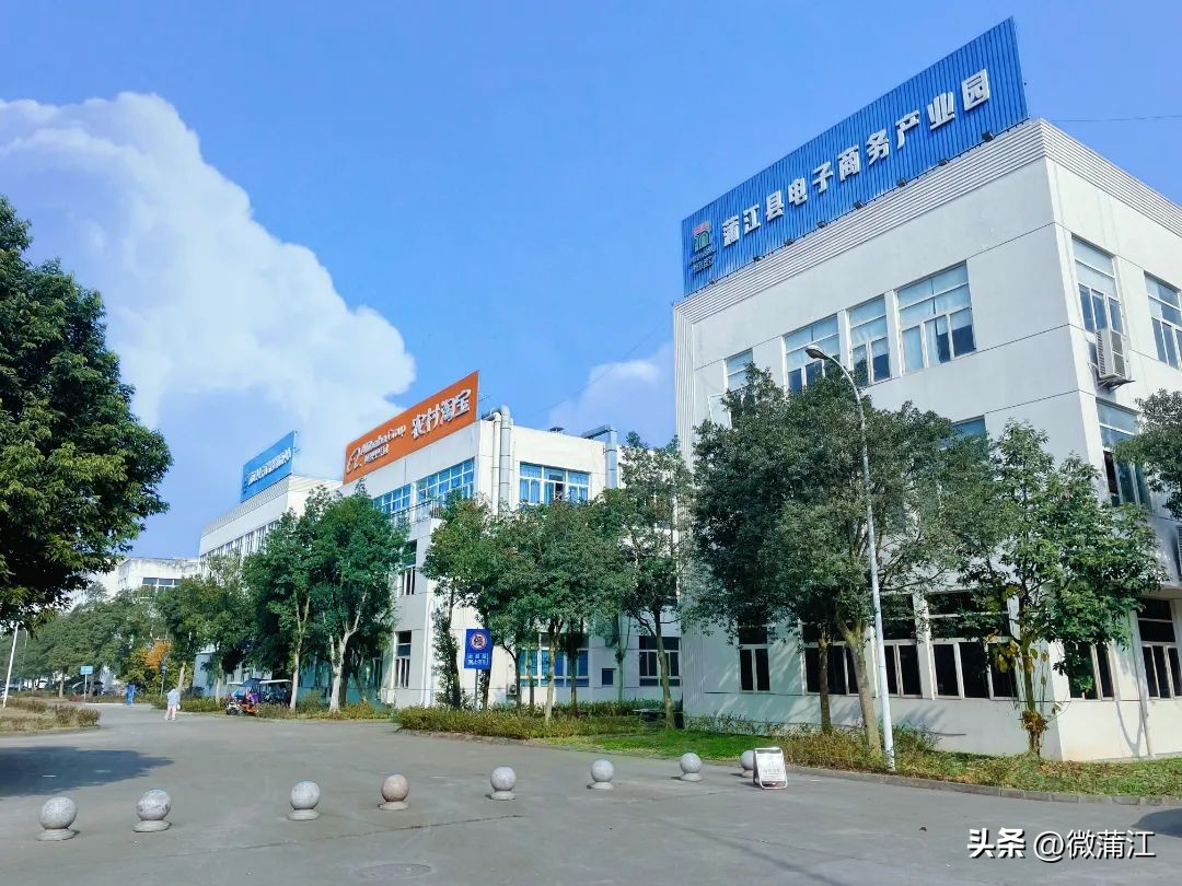 蒲江电商发展模式,蒲江县电商孵化园