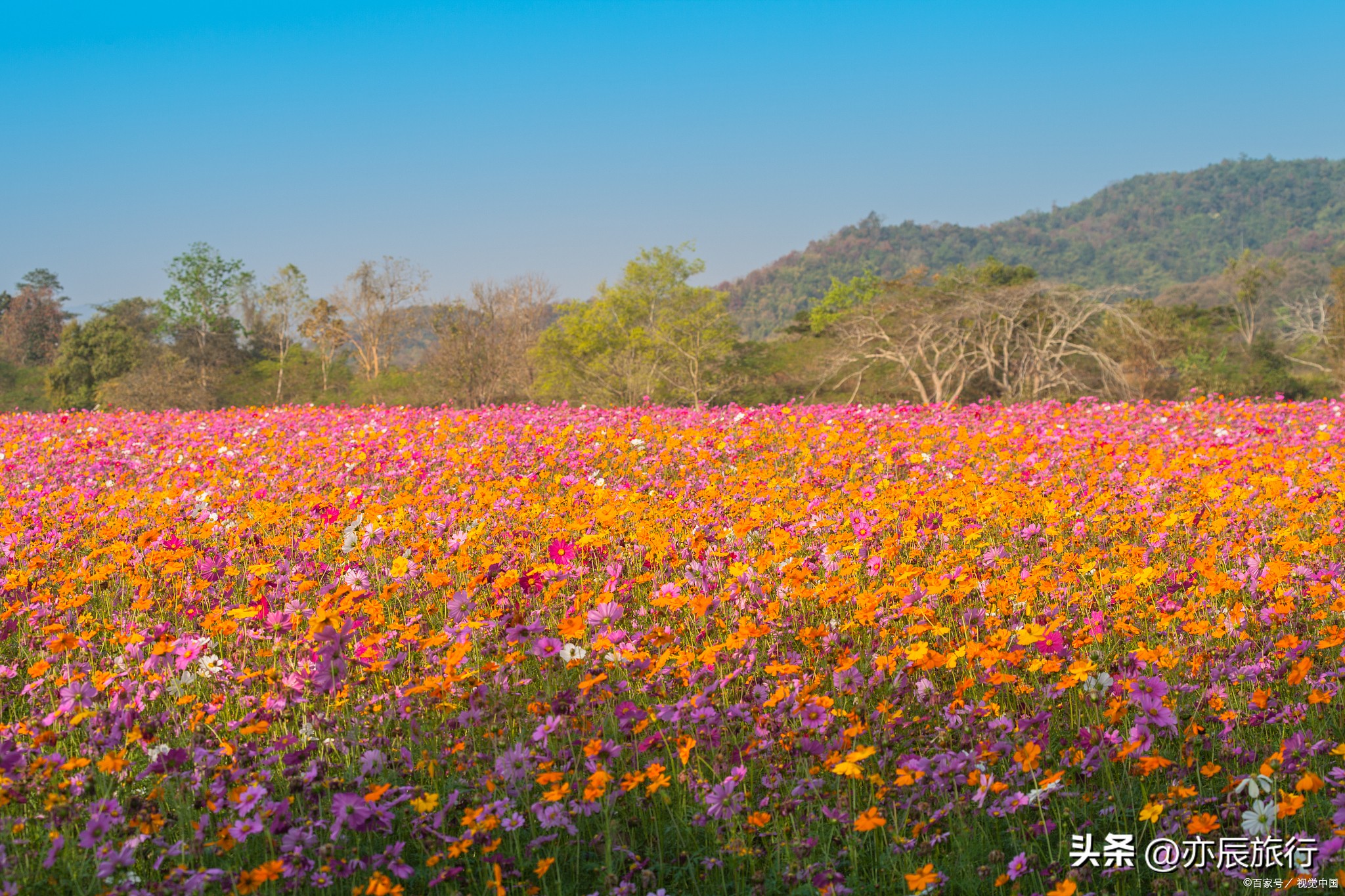 南昌秋季旅游攻略最新版,南昌秋季好玩的地方推荐