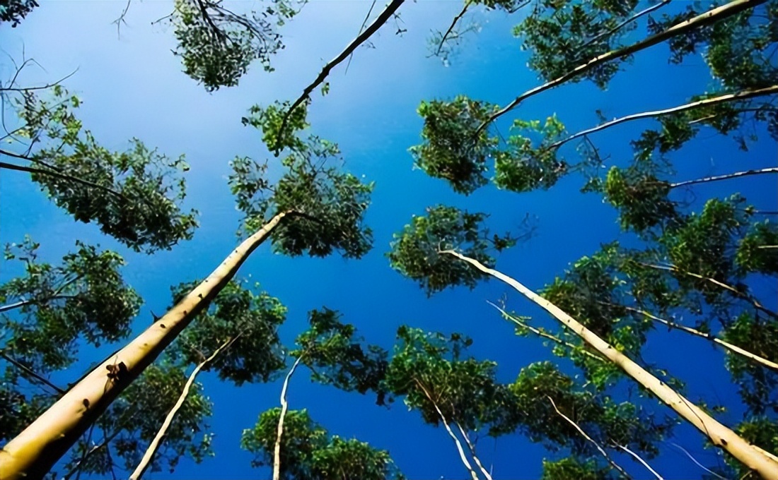 北仑疫情还回得了家吗,北仑疫情出不去了么