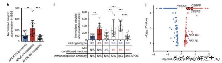 戊唑醇与磷酸二氢钾混用控旺吗,戊唑醇与磷酸二氢钾一起用吗