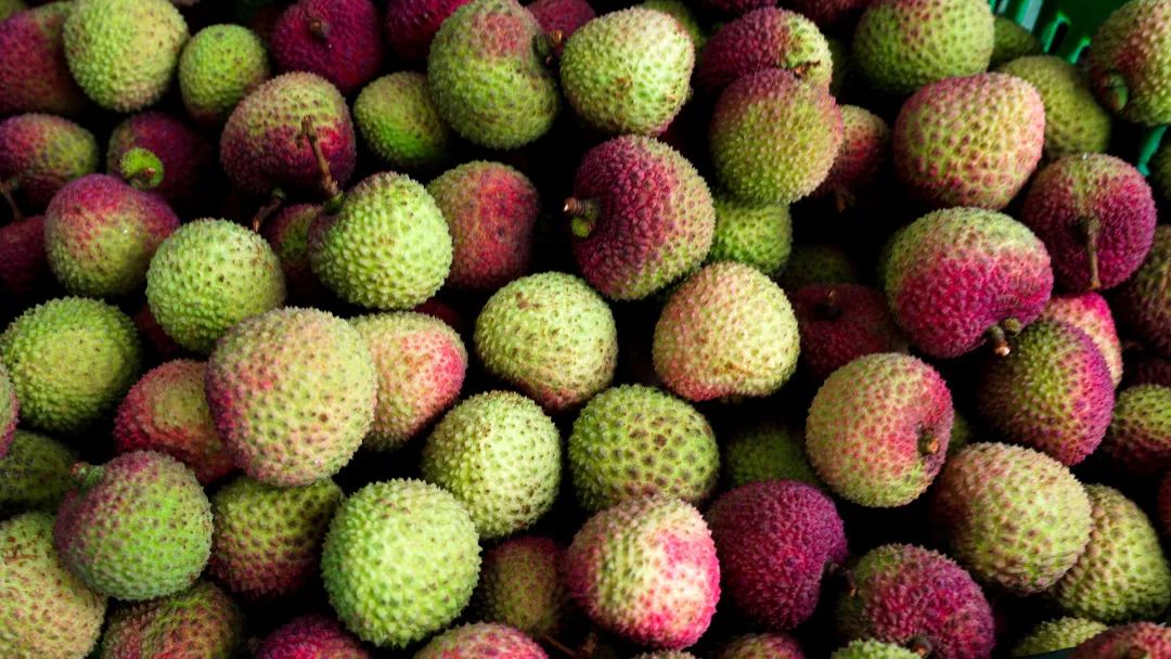 南山荔枝最新消息,南山荔枝下来了么