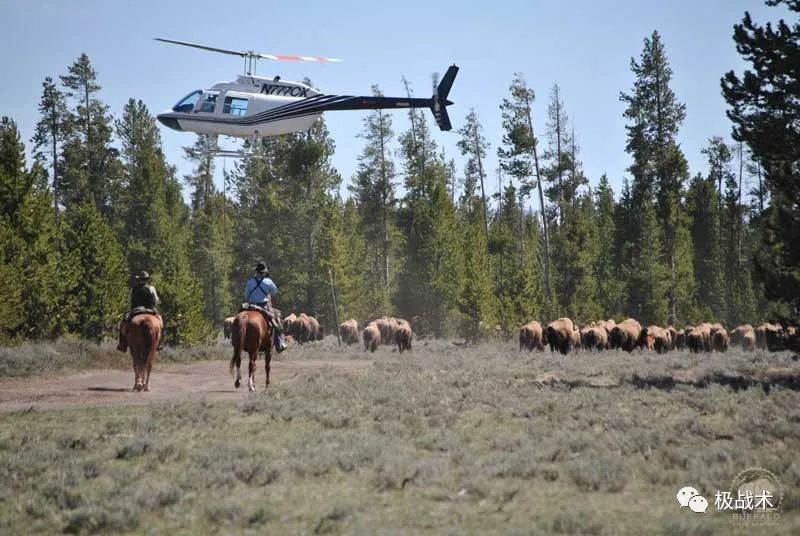 放牛的探员？《黄石》中的执法力量丨武装