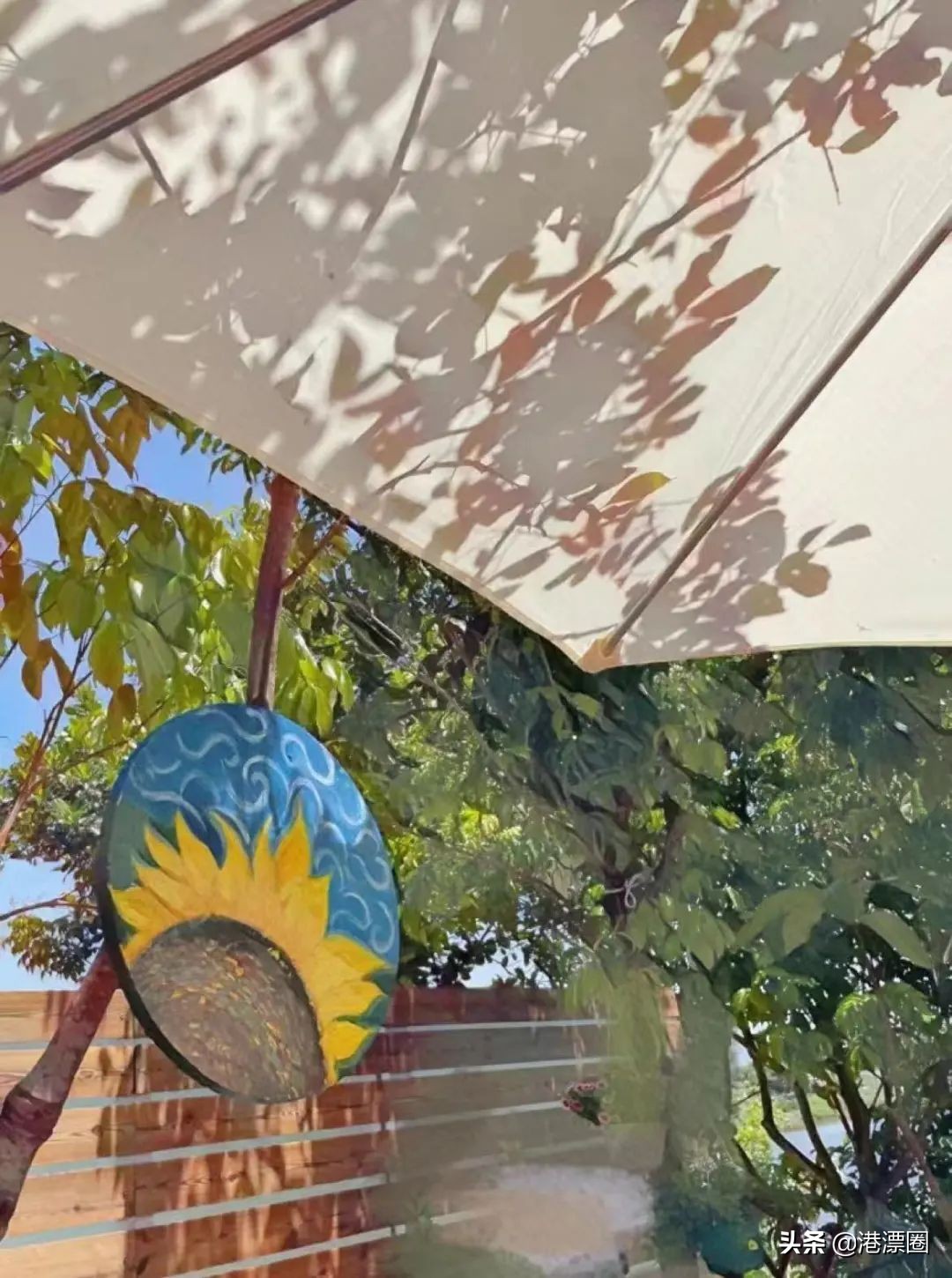 我在香港搬进一个带花园的房子后，直接瘦了六斤……