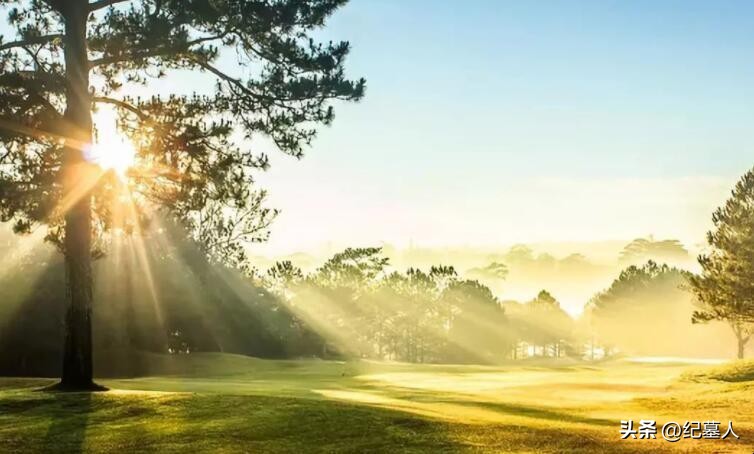 64年勘测队遭遇凶猛狼群，战士心软投喂食物，头狼带群狼前来报恩