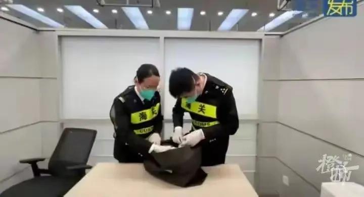 携带101管孕妇血液样本出境，被海关拦截！目的很可怕，很残忍