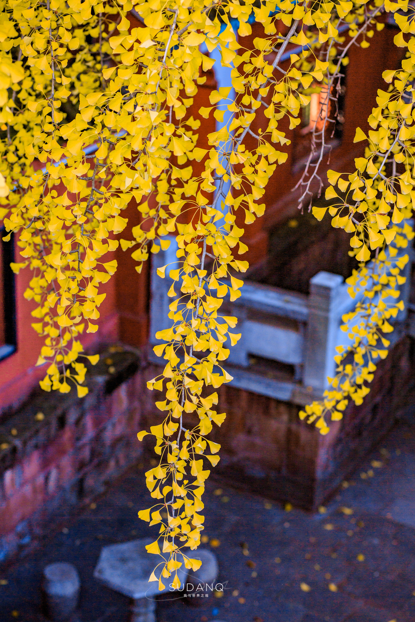大自然塑造了我,大自然塑造者