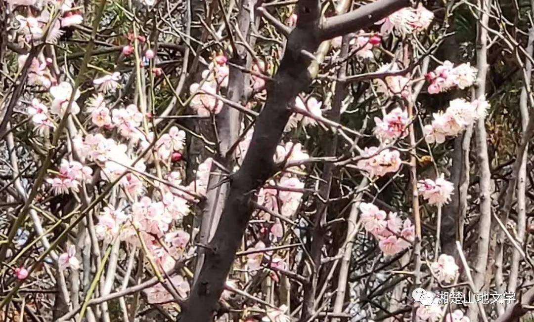 母亲是文盲沟通很困难,妈妈是文盲想认字