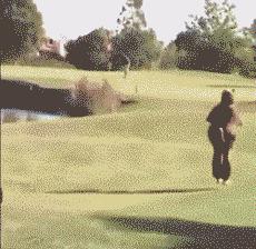 a股走势搞笑段子,一个a股段子手的年末总结