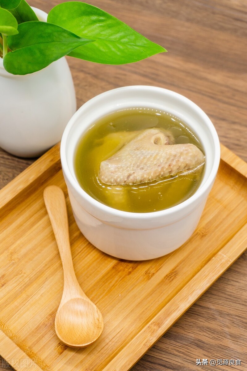 一鸽胜九鸡鸽子怎么炖更有营养,炖鸽子汤是用老鸽子好还是嫩鸽好