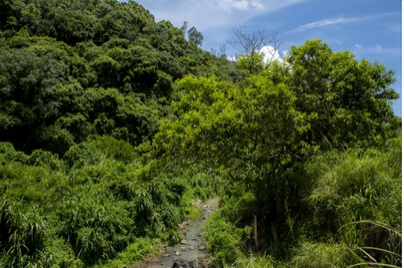 坪山金龟生态艺术小镇,坪山全域自然博物步道
