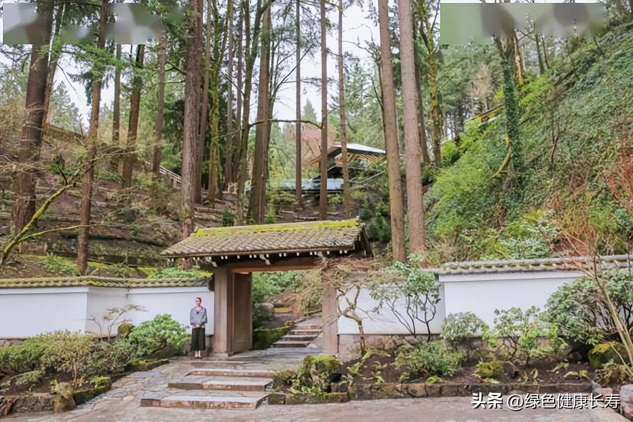 波特兰日本花园游玩,世界花园打卡