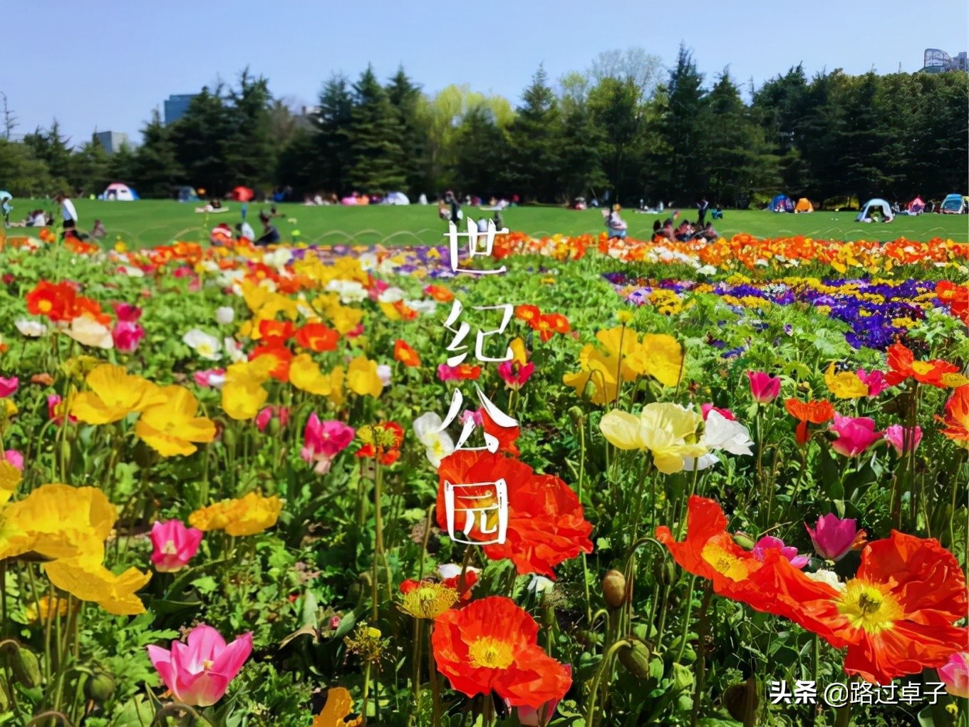 上海地铁旅游景点攻略,上海地铁打卡攻略