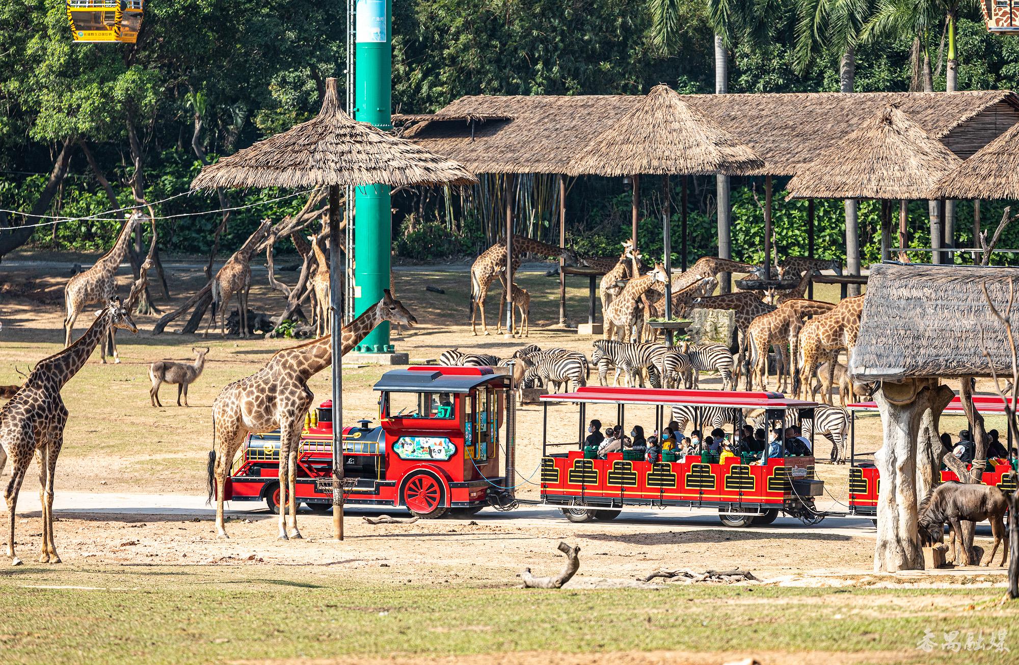 带你打卡“禺教于乐·趣味研学游”线路,在趣玩中感受大自然和科学魅力