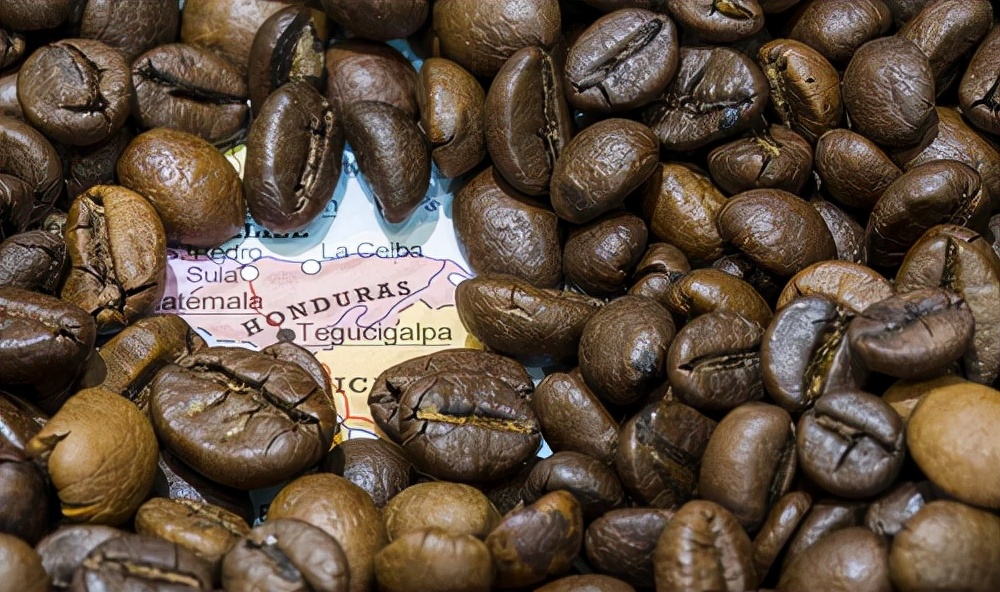 最贵的咖啡猫屎咖啡,最贵的咖啡是什么牌子