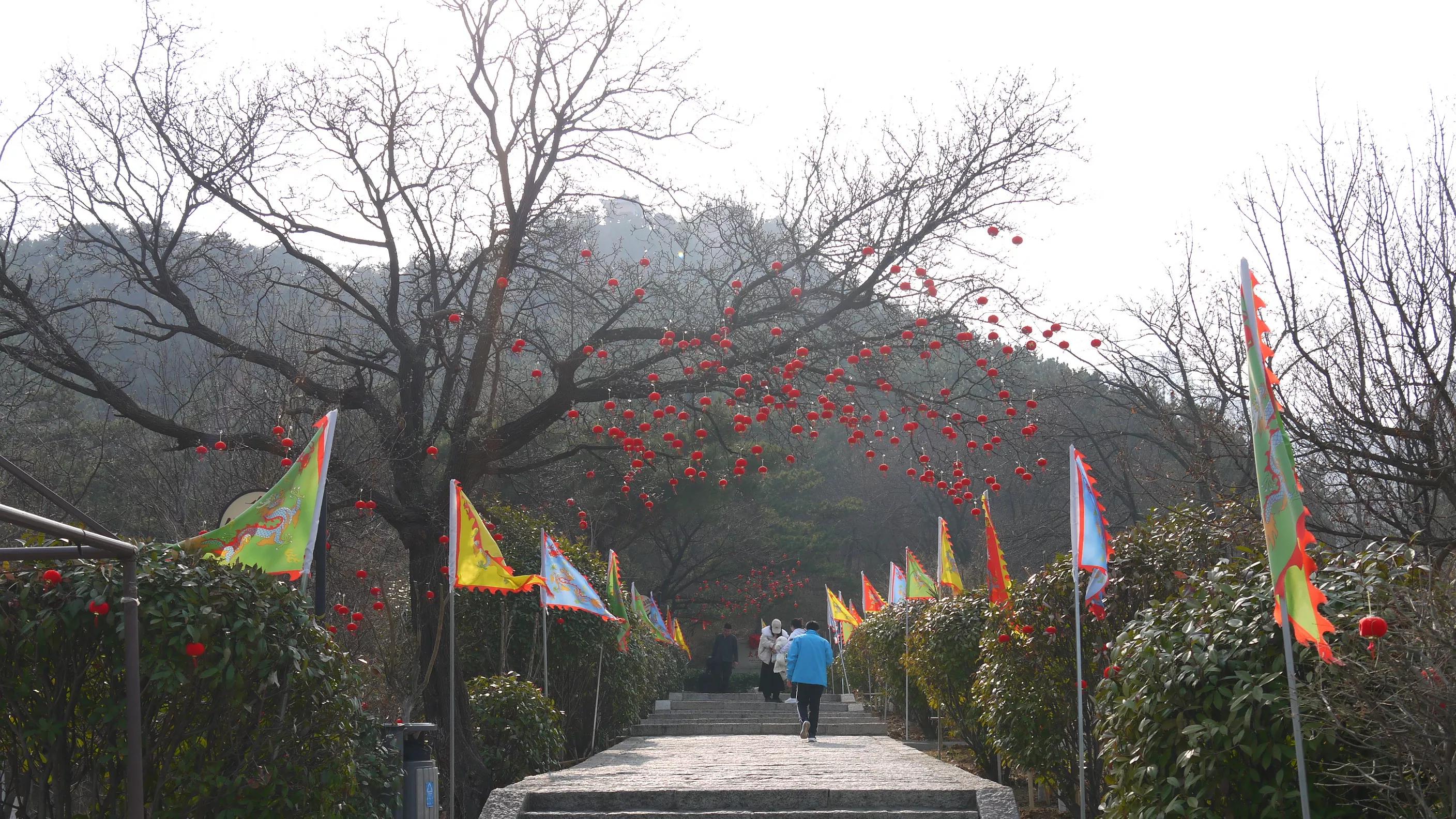 闈掑矝浠板彛鏅尯鍐ぉ,闈掑矝浠板彛鏅尯鎵撳崱