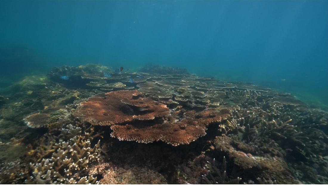 带孩子去蜈支洲适合玩多久,带小孩蜈支洲岛一日游攻略