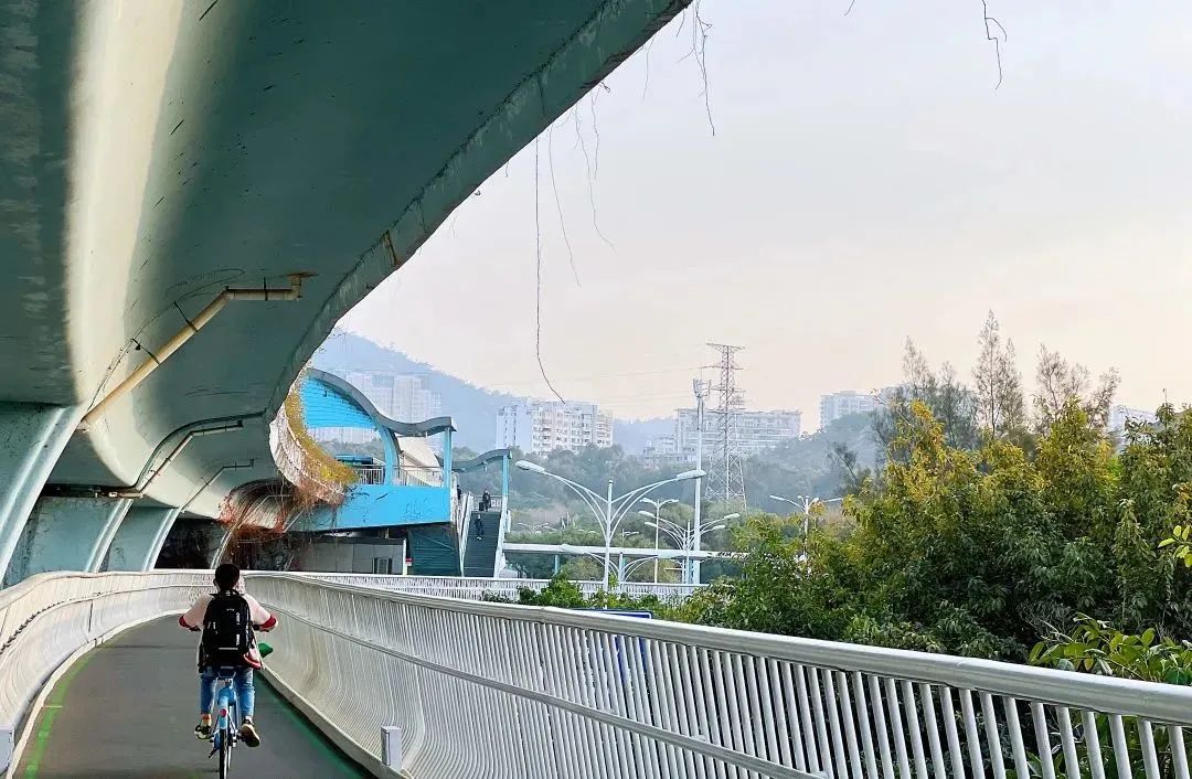 brt鐜板湪鎬庝箞涔樺潗,brt涔樺潗鏀荤暐