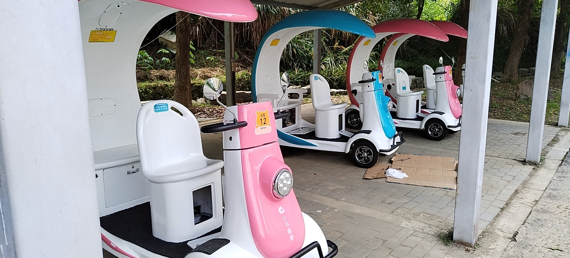 景区共享电动观光车收费,景区电动代步车