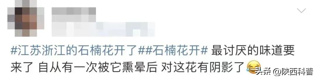 科技之春|“又腥又臭”上热搜！网友：左右“为楠”……专家：其他优点突出，忍耐一下