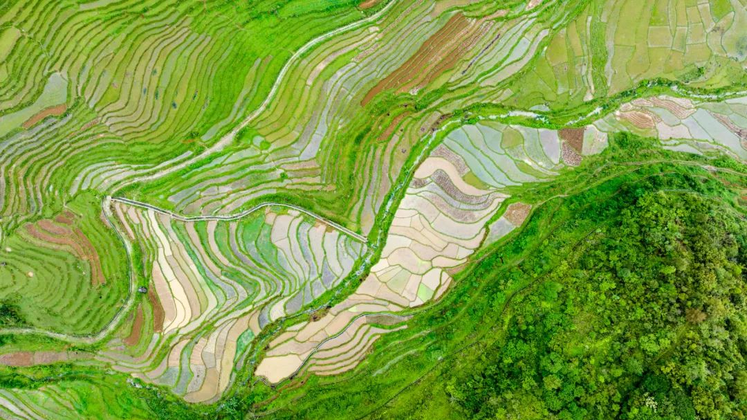 打飞的都要去坐的动车,怎么每站都这么好看